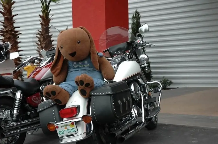 Large stuffed animal on motorcycle during Bike Week