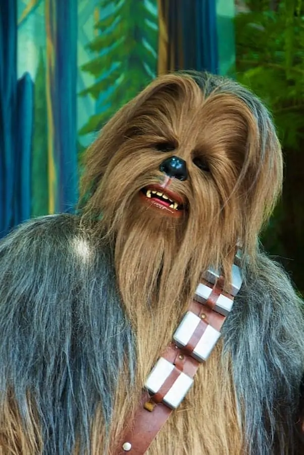 Chewbacca - Star Wars Wookie