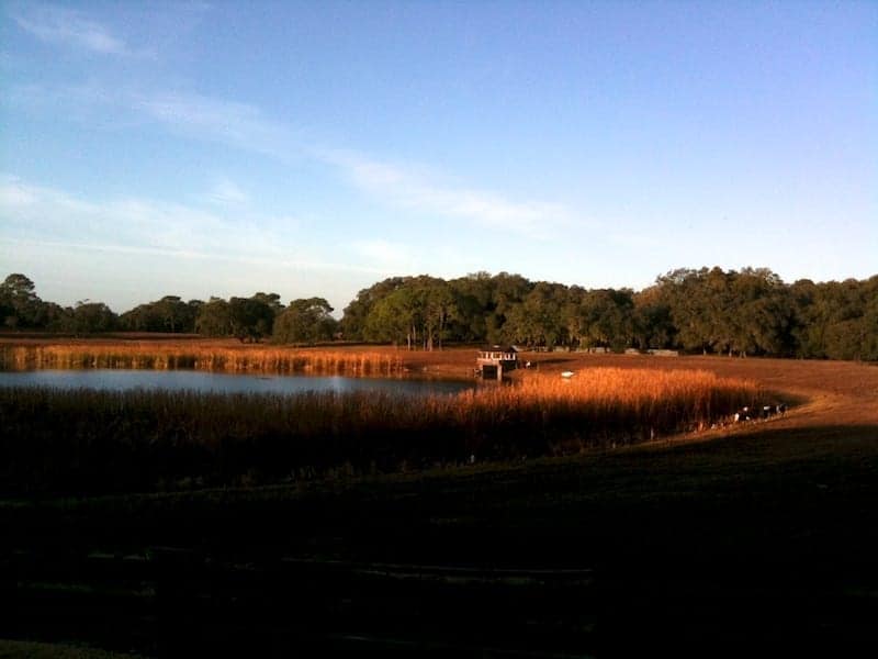 View behind Peach Valley Cafe