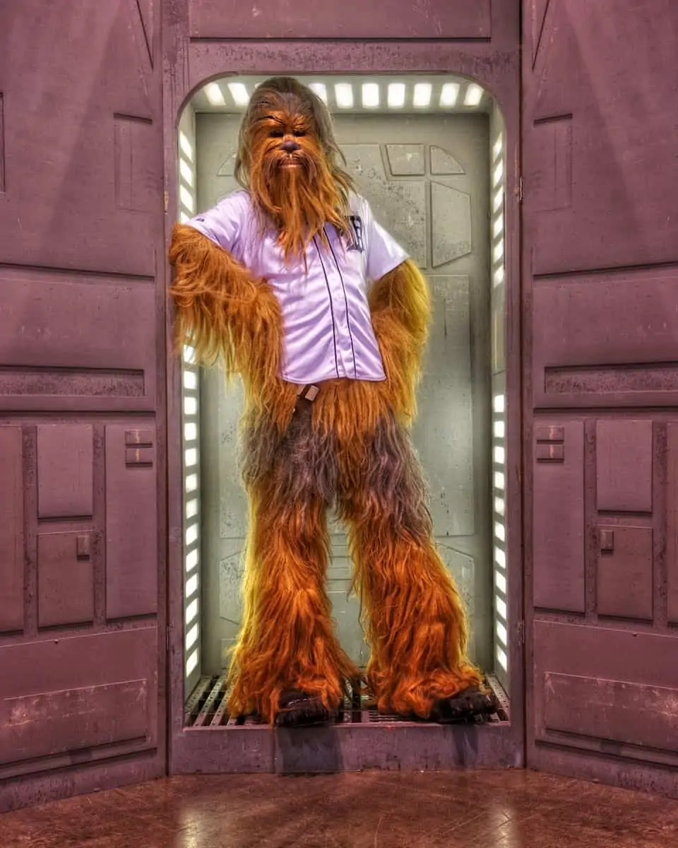 Chewbacca