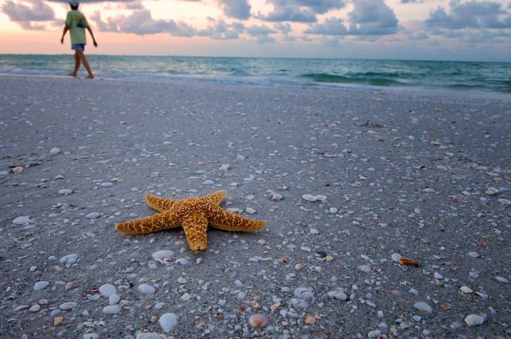 Sanibel Island