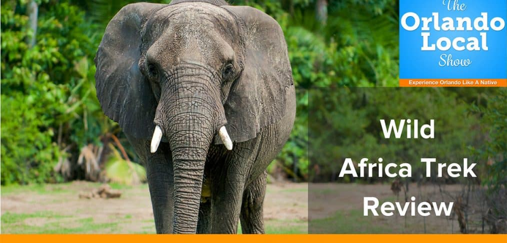Wild Africa Trek