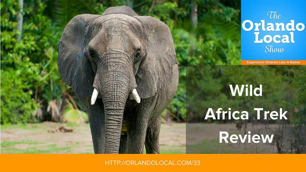 Wild Africa Trek