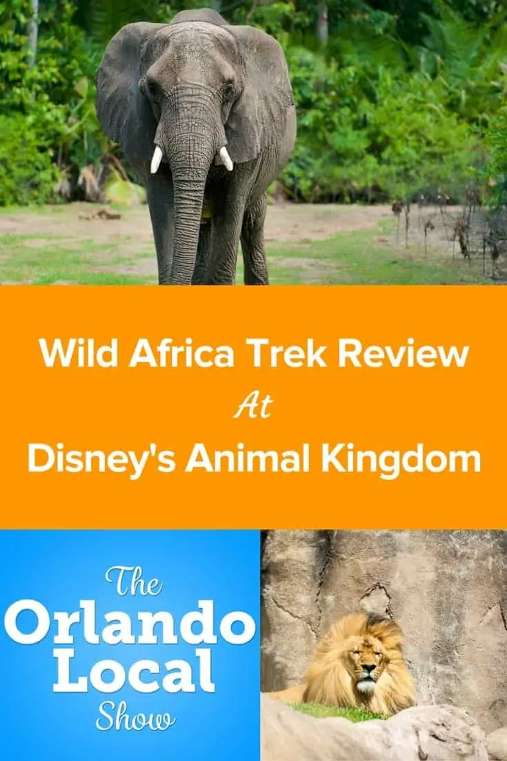Wild Africa Trek Review