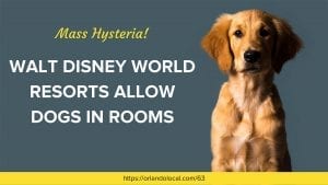 Walt Disney World Resorts Allow Dogs in Rooms
