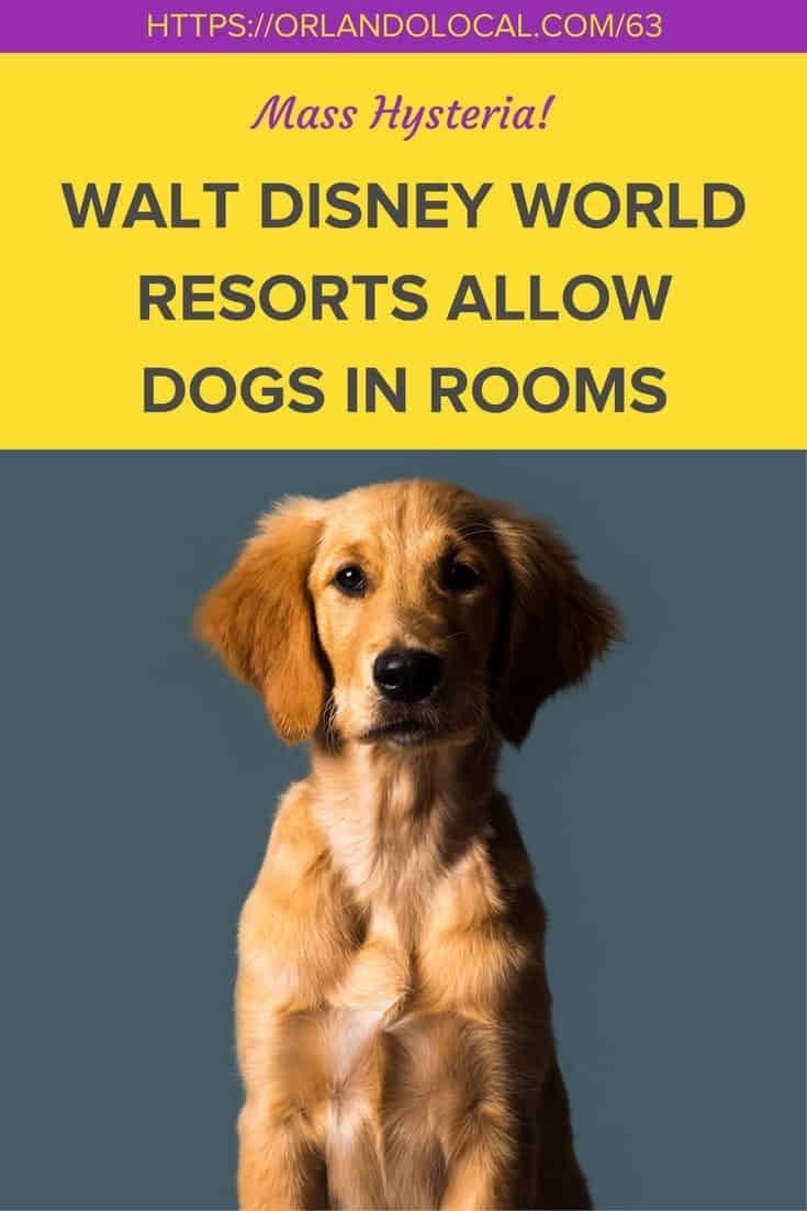 Walt Disney World Resorts Allow Dogs in Rooms