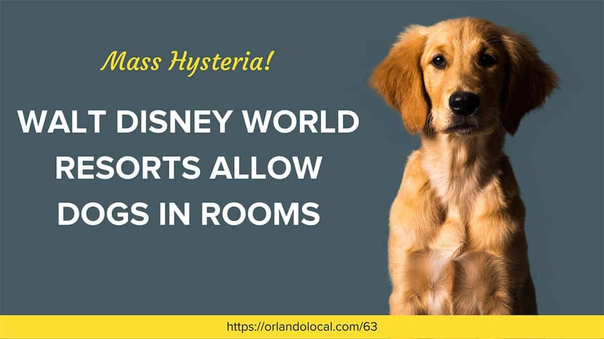 Does Walt Disney World Resorts Allow Dogs in Rooms?