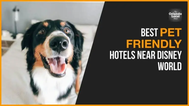 Best Pet-Friendly Hotels Near Disney World